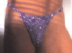 zimmytanga.jpg
